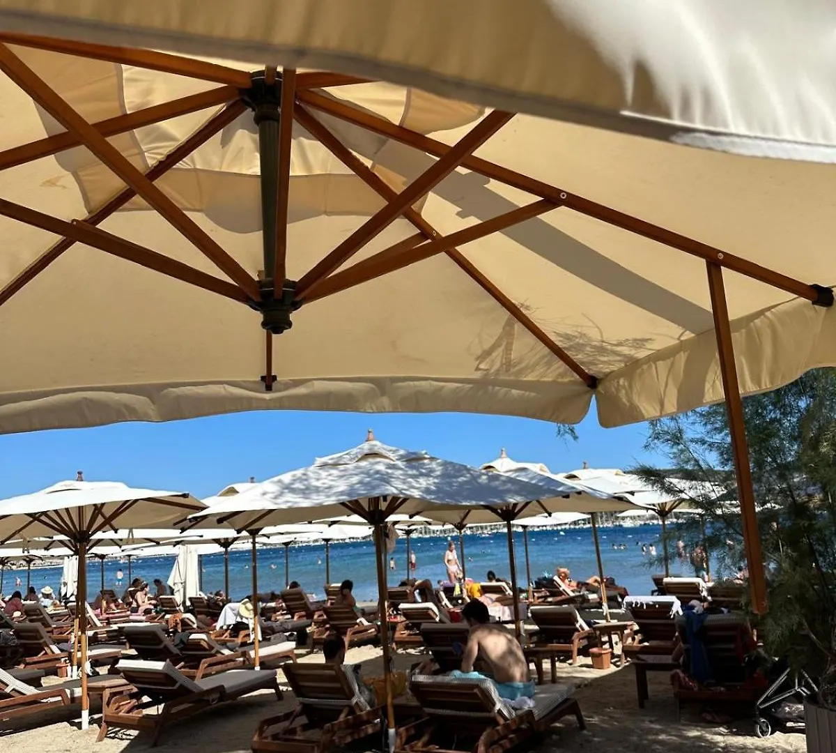 בודרום Sea Soul Hotel
